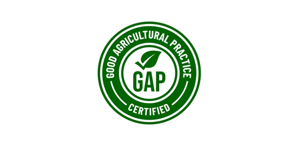 gap