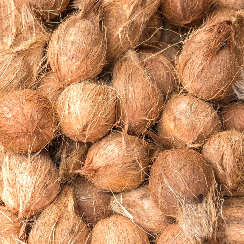 abt-coconut